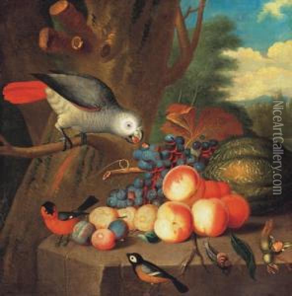 Still-life With Parrot Oil Painting - Jakob Bogdani Eperjes C