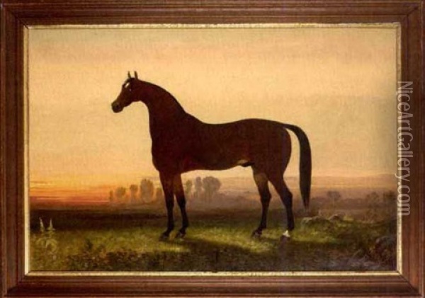 Portrait Of A Race Horse: Young 