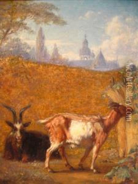 Goats In A Walled Enclosure Oil Painting - Louis Marie Dominique Romain Robbe