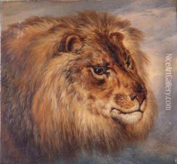Head Studies Of A Lion And Lioness Oil Painting - Charles Towne