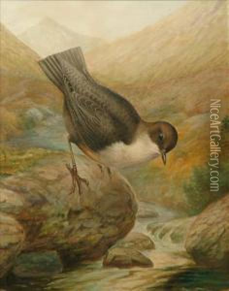 Dipper Oil Painting - George James Rankin