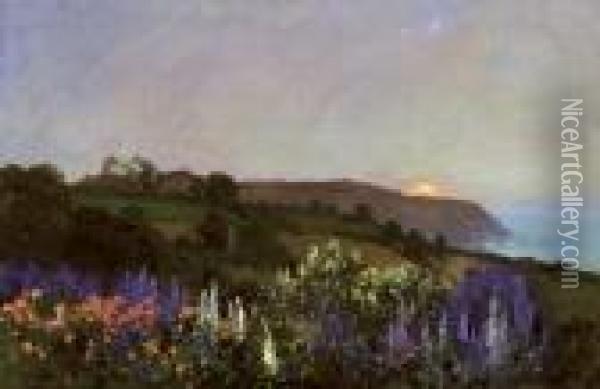 Delphiniums On A Hillside At Sunset Oil Painting - Thomas E. Mostyn