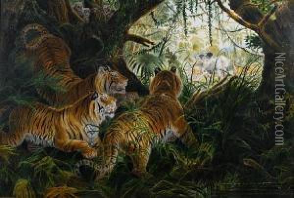 Tigers On The Prowl Oil Painting - P H Staines