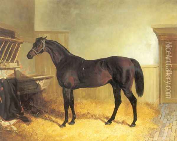 Charles XII a Brown Racehorse in a Stable Oil Painting - John Frederick Herring Snr