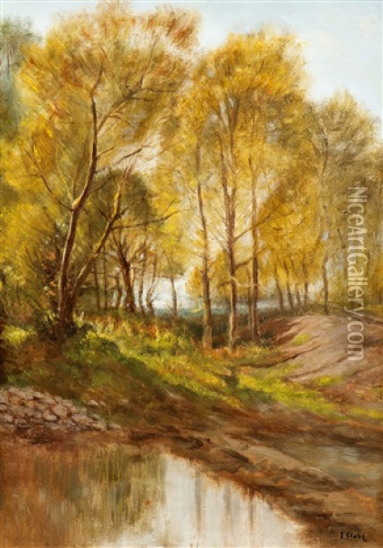 Landschaft Mit Bachlauf Und Baumen Oil Painting - Emile Stahl
