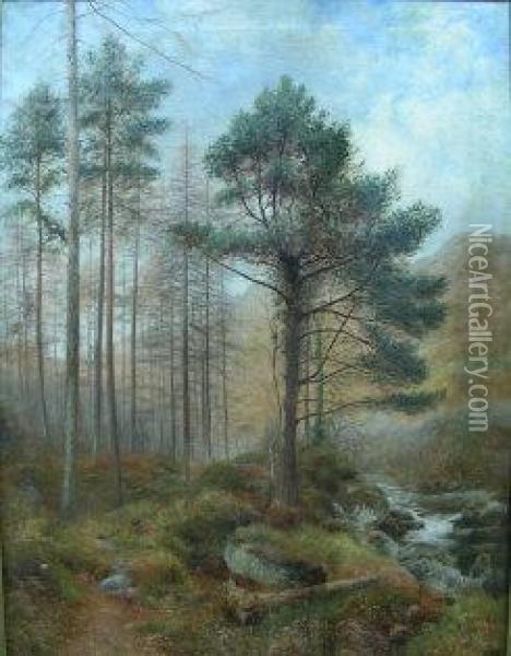 River Landscape With Pine Trees Oil Painting - Charles France