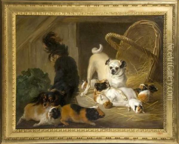 King Charles, Carlin Et Hamsters Oil Painting - Charles Dagomer