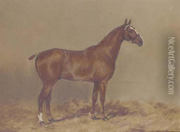 Tom-thumb, A Chestnut Hunter Oil Painting - Henry Frederick Lucas-Lucas