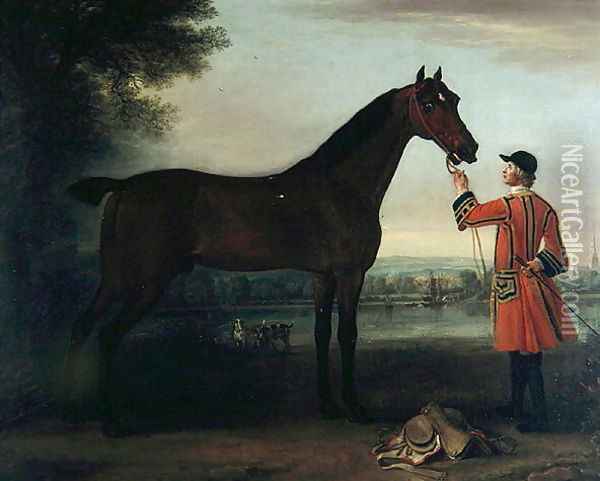 Red Robin, c.1743-6 Oil Painting - John Wootton