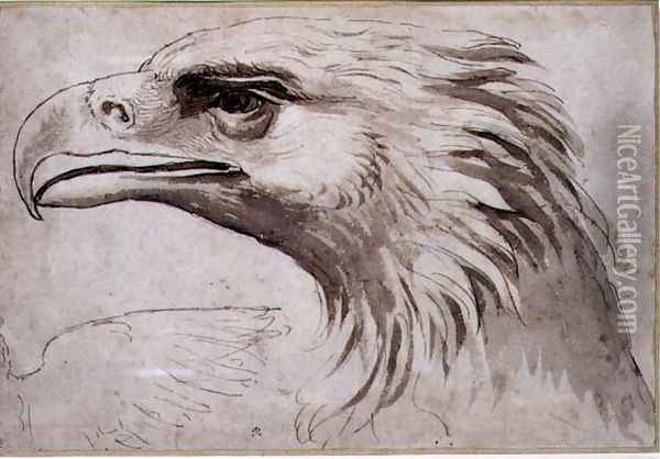 Head of an Eagle, c.1527-8 Oil Painting - Giulio Romano (Orbetto)