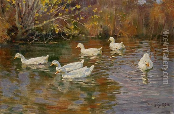 Sechs Enten In Einem Teich Oil Painting - Franz Graessel