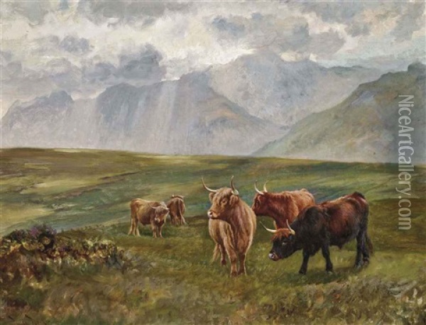 Highland Cattle Grazing Oil Painting - Wright Barker