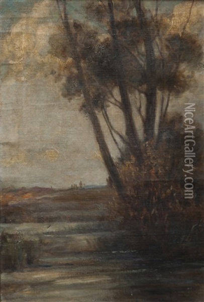 Alberi In Palude Oil Painting - Pietro Fragiacomo