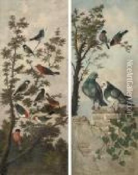 Songbirds In A Tree; And Pigeons On A Wall, With Birds In A Tree Oil Painting - Michaelangelo Meucci