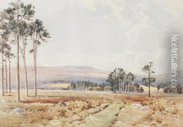 Perthshire Landscape Oil Painting - Frederick Tucker