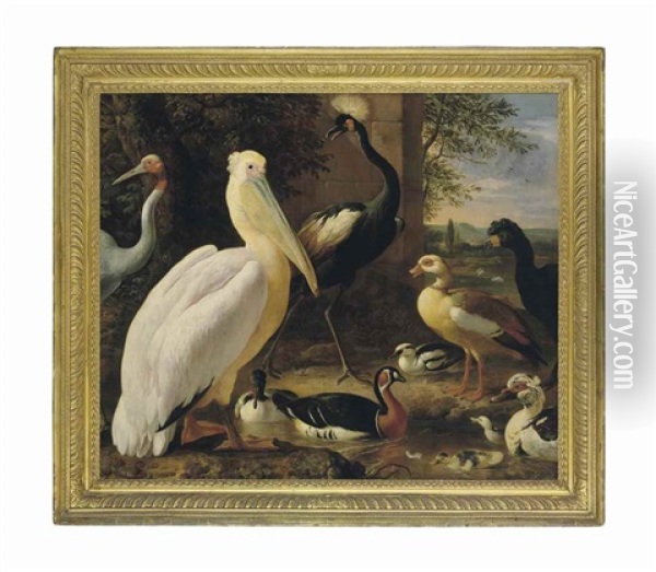 A Pelican, A Crowned Crane, A Curassow, A Sarus Crane And Ducks In A River Landscape Oil Painting - Melchior de Hondecoeter