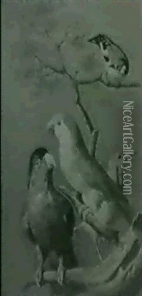 Deux Perroquets Sur Une Branche Avec Deux Autres Oiseaux Oil Painting - Jacques Barraband