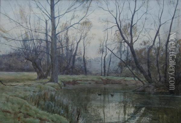 A Quiet Pool Oil Painting - Arthur Anderson Fraser