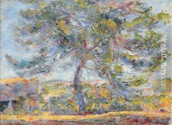 Paysage Du Midi, Le Grand Arbre Au Soleil Oil Painting - Joseph Ravaisou