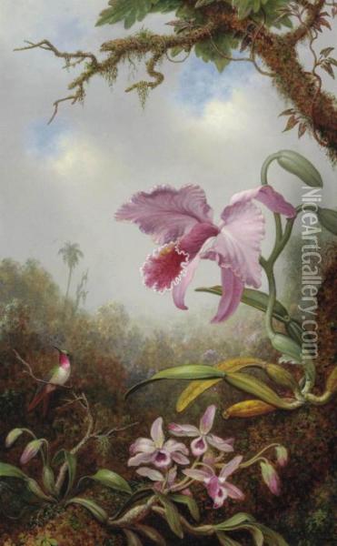 Hummingbird And Two Types Of Orchids Oil Painting - Martin Johnson Heade