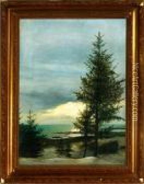A Coastal Scenery With Pines, Winter Oil Painting - Julius Paulsen
