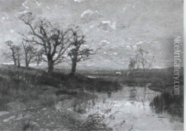 Moorlandschaft Oil Painting - Louis (Jakob Ludwig W.) Boller
