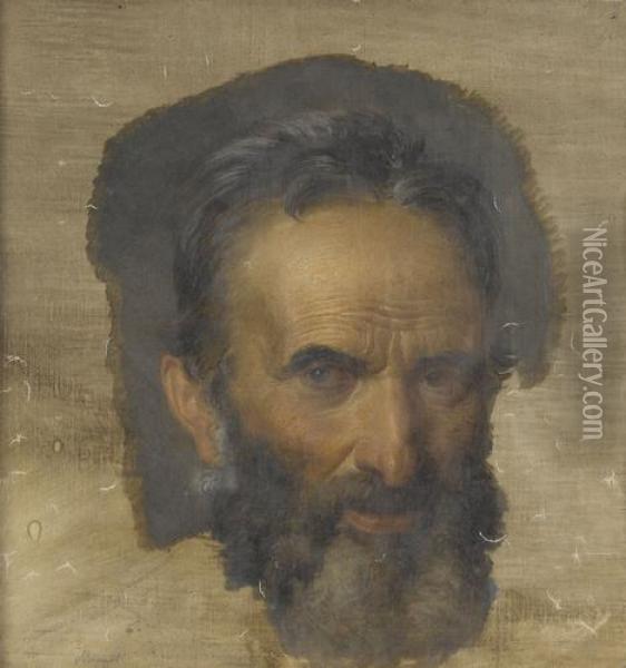Kopf Eines Bartigen Mannes Oil Painting - Tommaso Minardi
