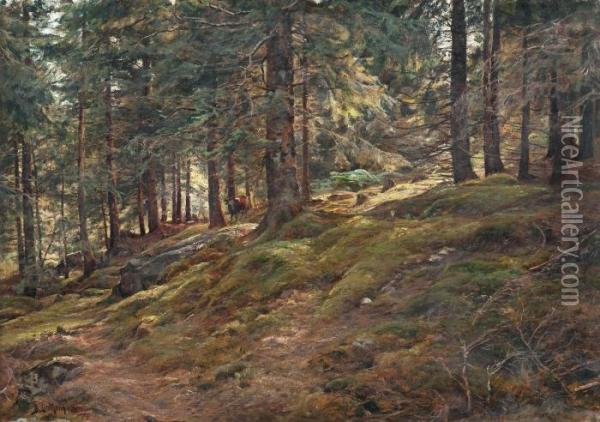 Sunlight In The Woods Oil Painting - Berndt Adolf Lindholm