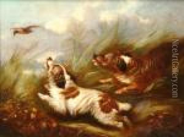 Two Spanielsputting Up Woodcock Oil Painting - George Armfield