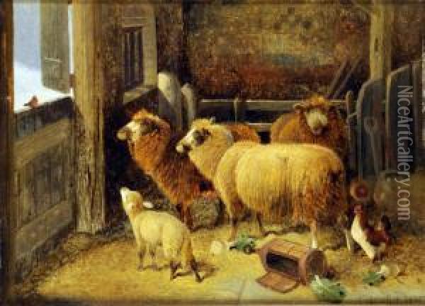 Christmas Greetings, A Stable Interior With Sheep, Fowl And Robin At The Door Oil Painting - Frederick E. Valter