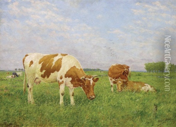 Cows Resting In A Pasture Oil Painting - Adolphe Jacobs