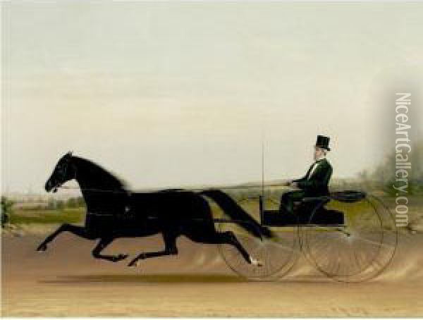 A Trotter And Sulky Oil Painting - James J. Mcauliffe