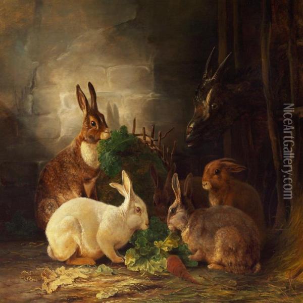 Stable With Rabbits And A Goat Oil Painting - Wilhelm Zillen