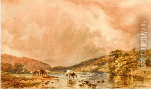Cattle Watering By A River With A Stormy Sky Overhead Oil Painting - William Collingwood Smith