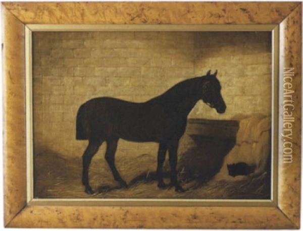 Portrait Of A Horse In His Stall With Black Cat Nestled In The Hay Beside Him Oil Painting - Arthur Batt