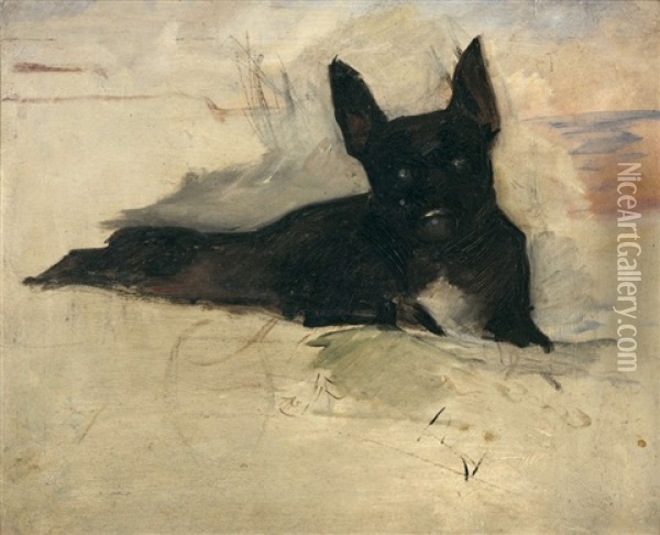 Little Dog Couche Oil Painting - Henri De Toulouse-Lautrec