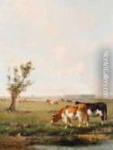Cows Grazing In A Summer Meadow Oil Painting - Cornelis I Westerbeek