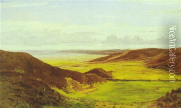 Lyngbakker Ved Hammershoj Ved Randers Oil Painting - Thorvald Simeon Niss