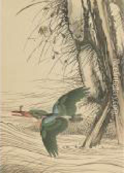Kingfisher Oil Painting - Imao Keinen