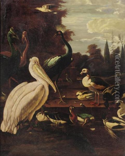 A Pelican, Peacocks And Ducks In An Italianate Landscape Oil Painting - Melchior de Hondecoeter