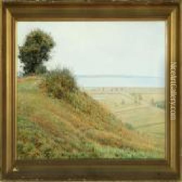 Danish Summer Landscapewith View Over Inlet Oil Painting - Albert Edward Wang