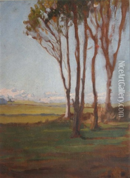Trees In A Winter Landscape Oil Painting - Dermod O'Brien