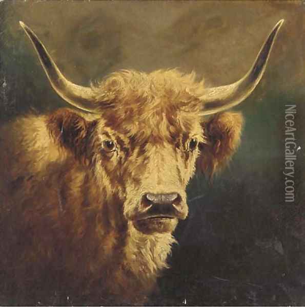 The head of a Highland cow Oil Painting - William Perring Hollyer