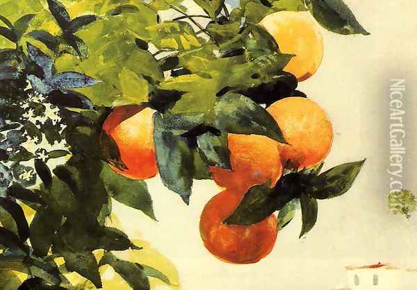 Oranges on a Branch Oil Painting - Winslow Homer