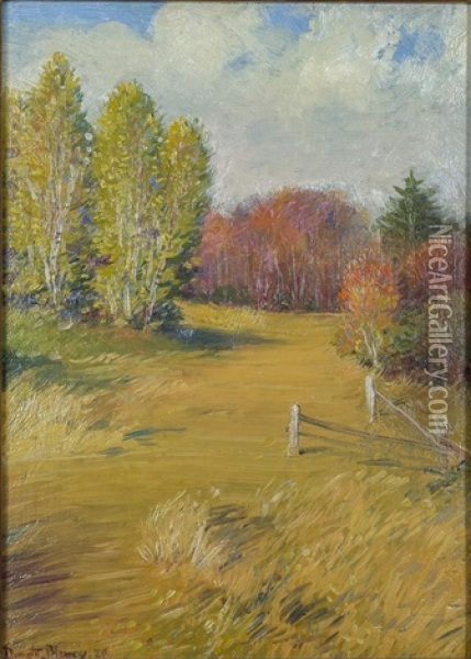 The Meadow (weston, Massachusetts) Oil Painting - Dwight Blaney