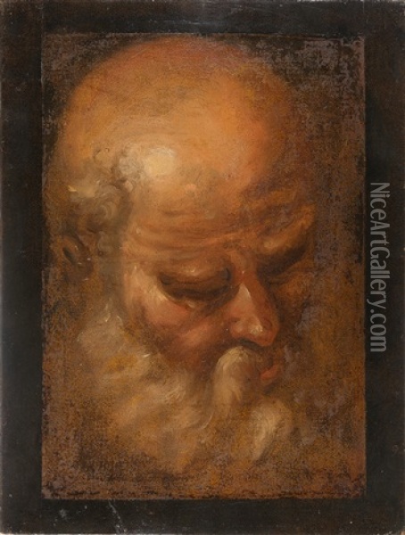 Kopf Eines Alten Mannes (volto Di Vecchio) Oil Painting - Domenico Beccafumi