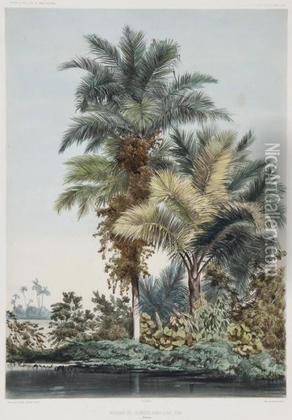 Bouquet De Palmiers Dans L'ile Tsis Oil Painting - Ernest Goupil