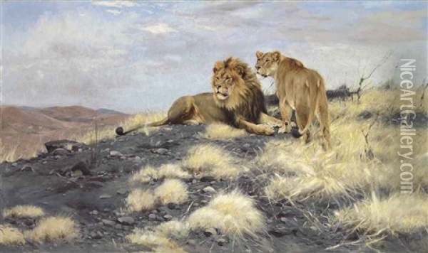 A Lion And A Lioness Oil Painting - Wilhelm Friedrich Kuhnert