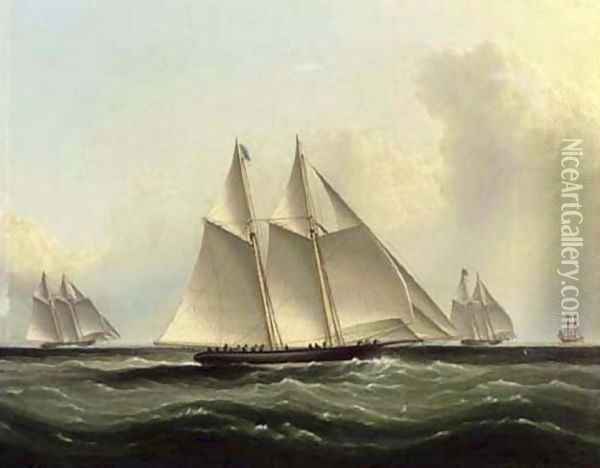 The Great Ocean Race, 'Henrietta,' 'Fleetwing' and 'Vesta' Oil Painting - James E. Buttersworth