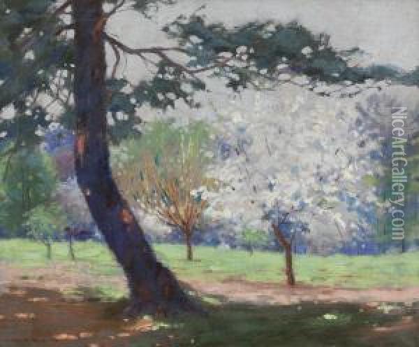 Early Spring Oil Painting - Mary Augusta Heister Reid